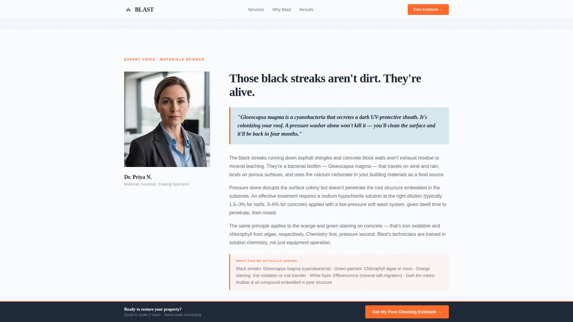 Pressure Washer Marketing Reviews Website Template
