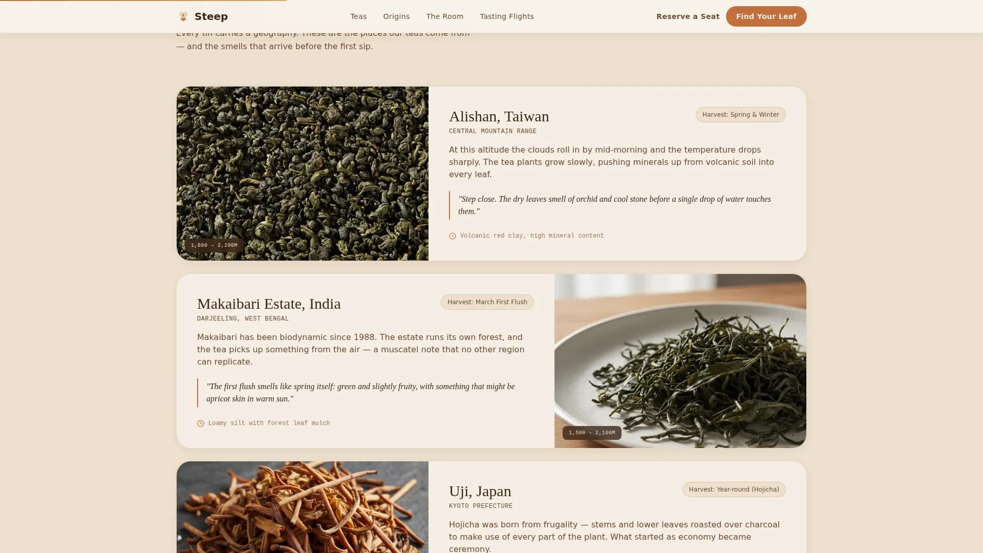 Steep - Artisan Tea House Landing Page Template