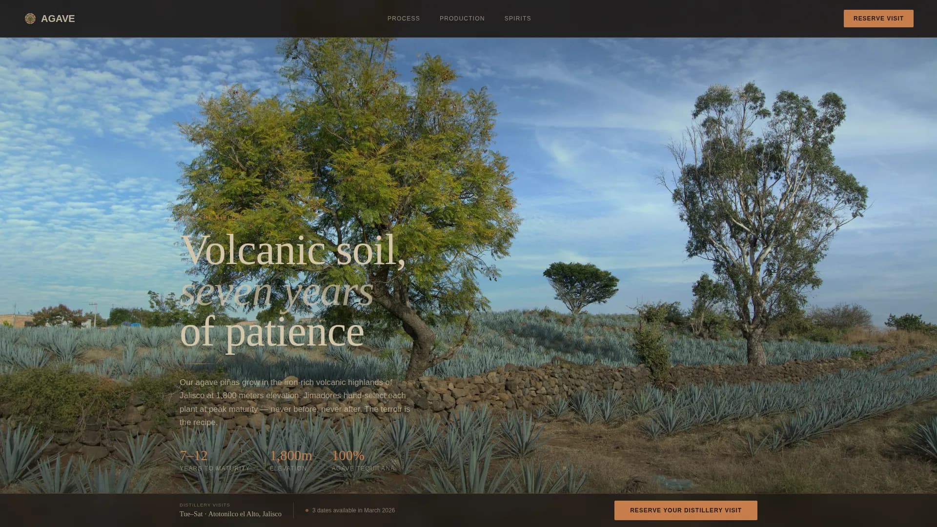 Agave - Immersive Distillery Booking Landing Page Template