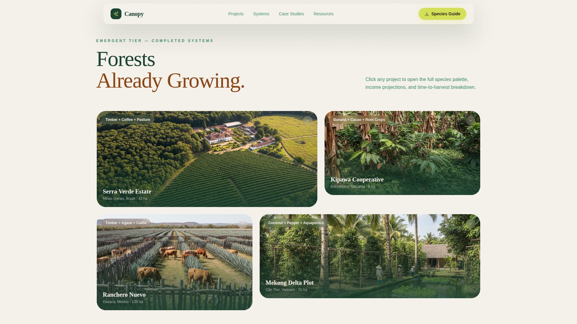 Forestry & Timber Professional Website Template