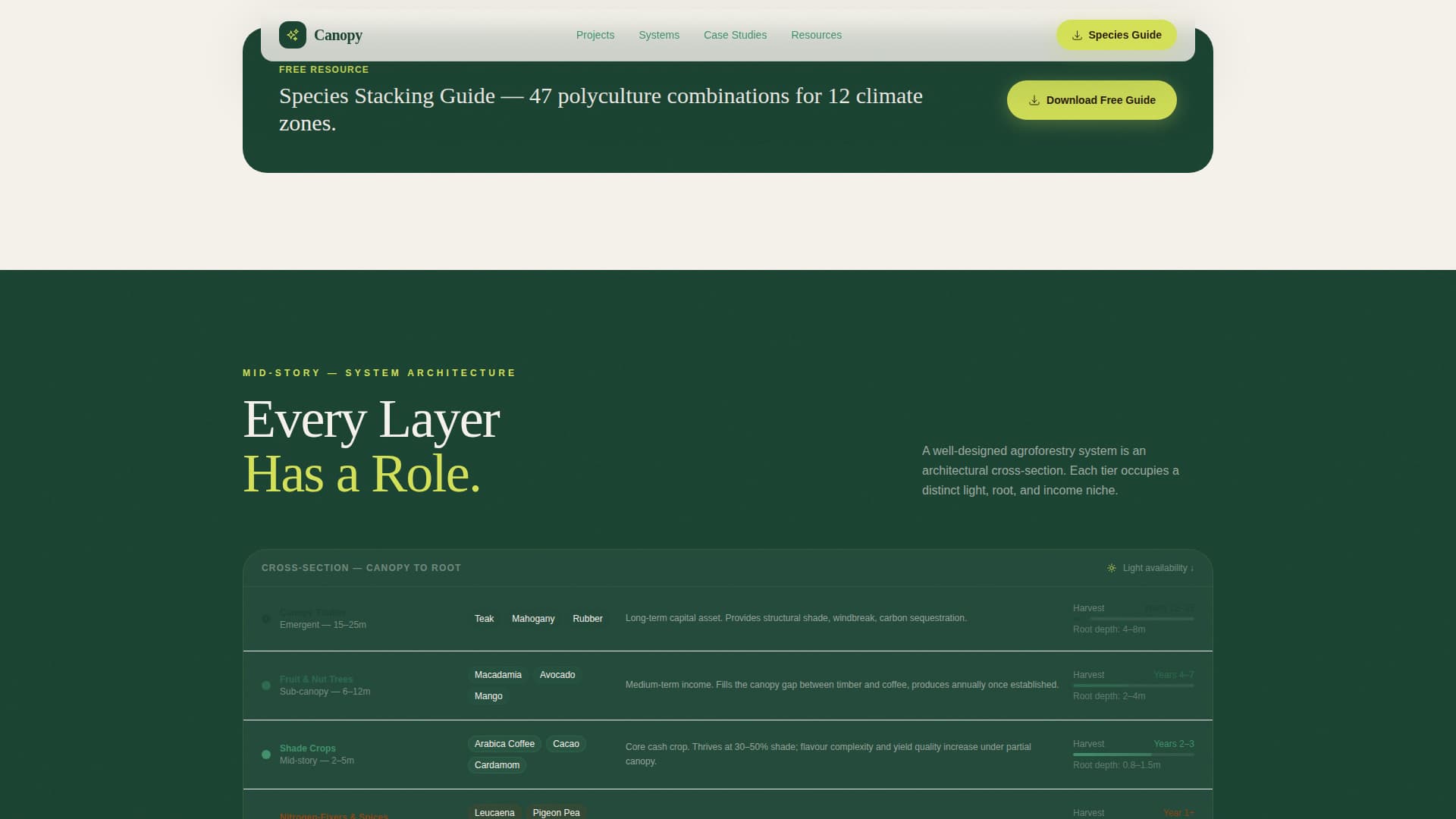 Forestry & Timber Professional Website Template