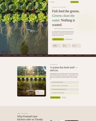 Organic & Sustainable Farm Blog Website Template
