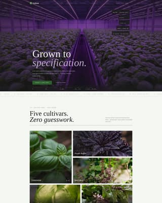 Spice & Herb Farm Professional Website Template