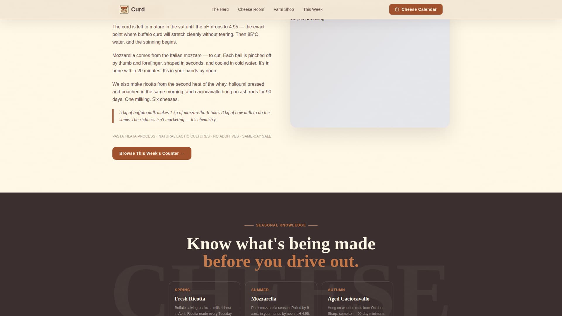 Dairy & Poultry Farm Professional Website Template