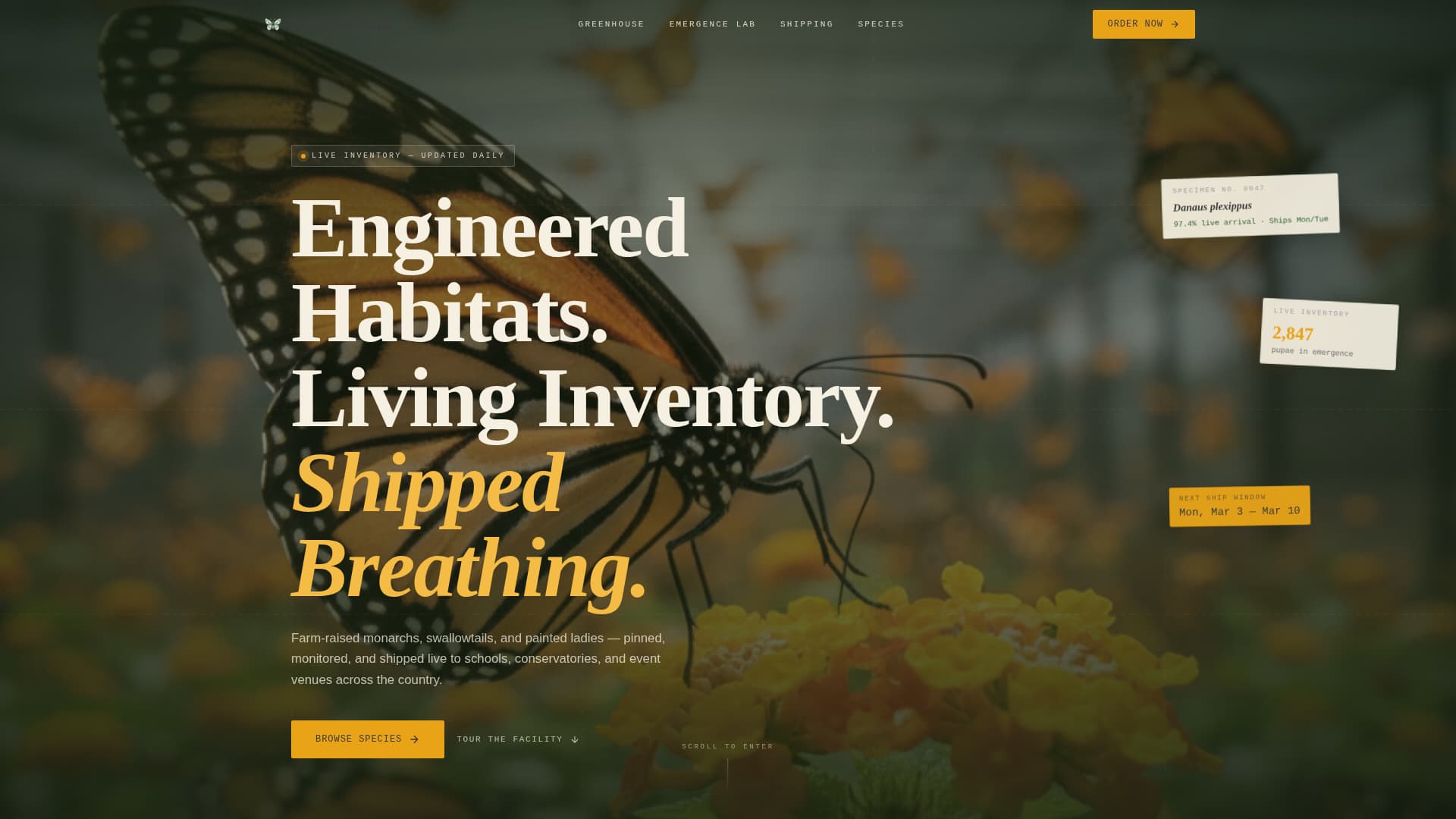 Agri-Tourism & Farm Experience Advanced Professional Website Template