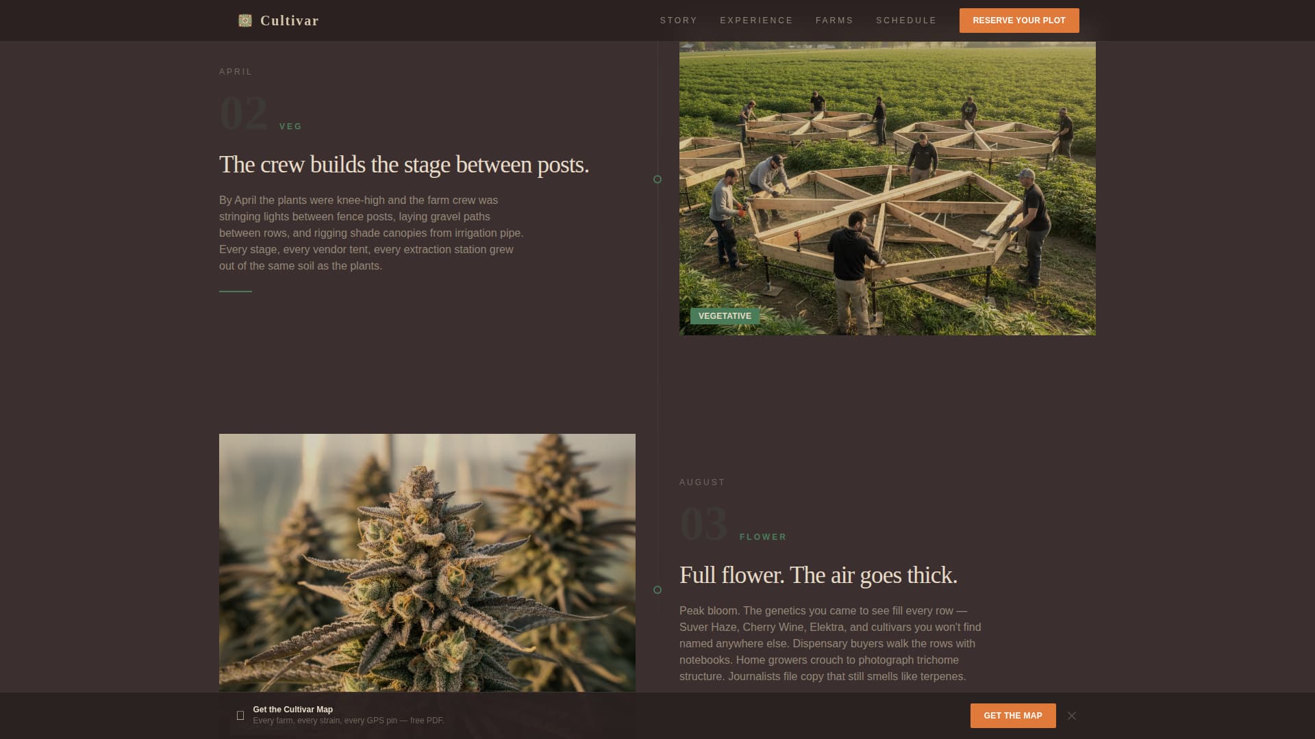 Cultivar - Immersive Cannabis Landing Page Template