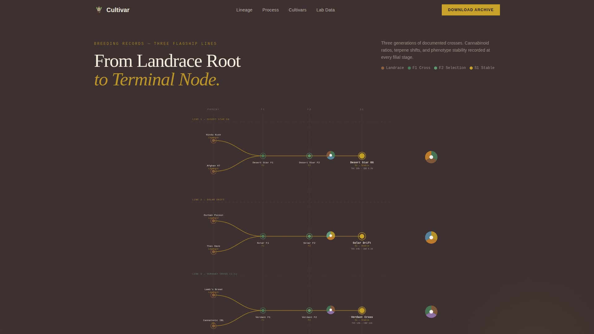 Cannabis Industry Specialist Professional Website Template