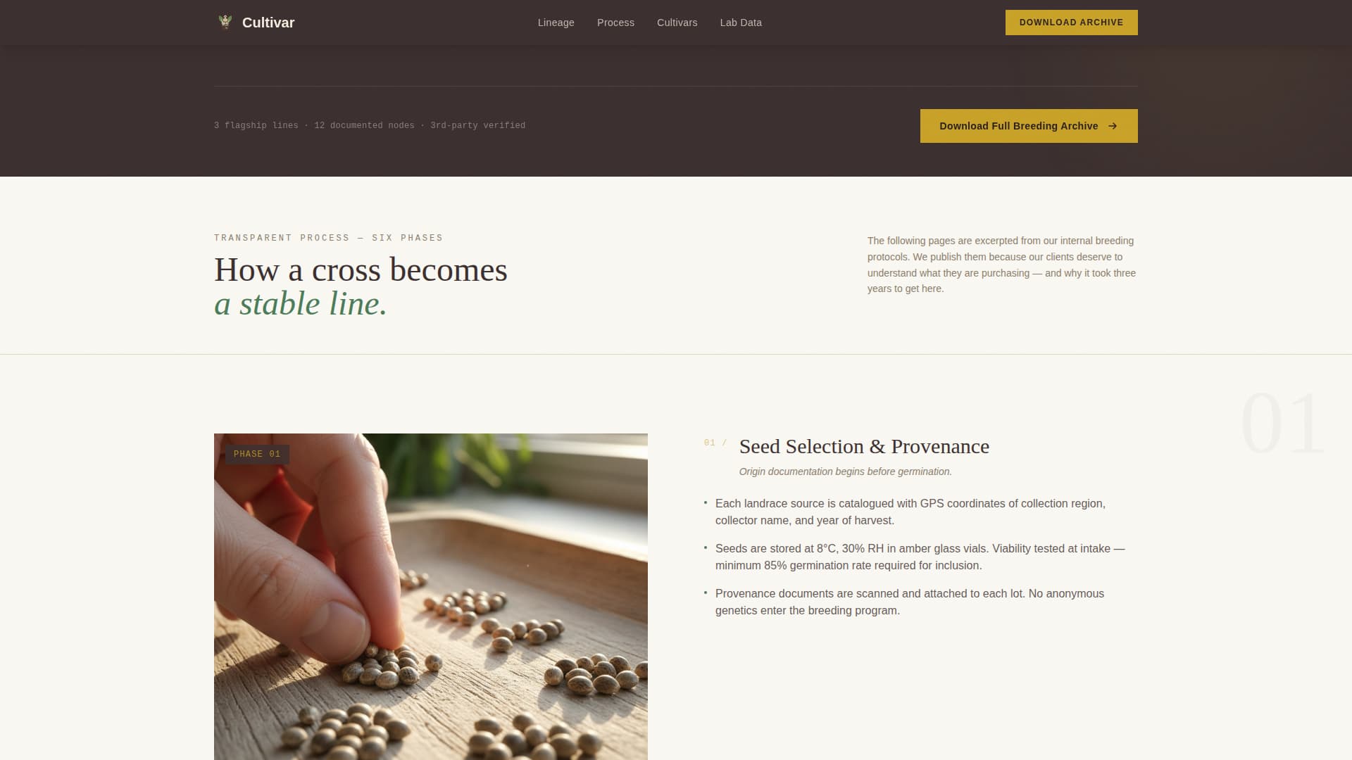 Cannabis Industry Specialist Professional Website Template