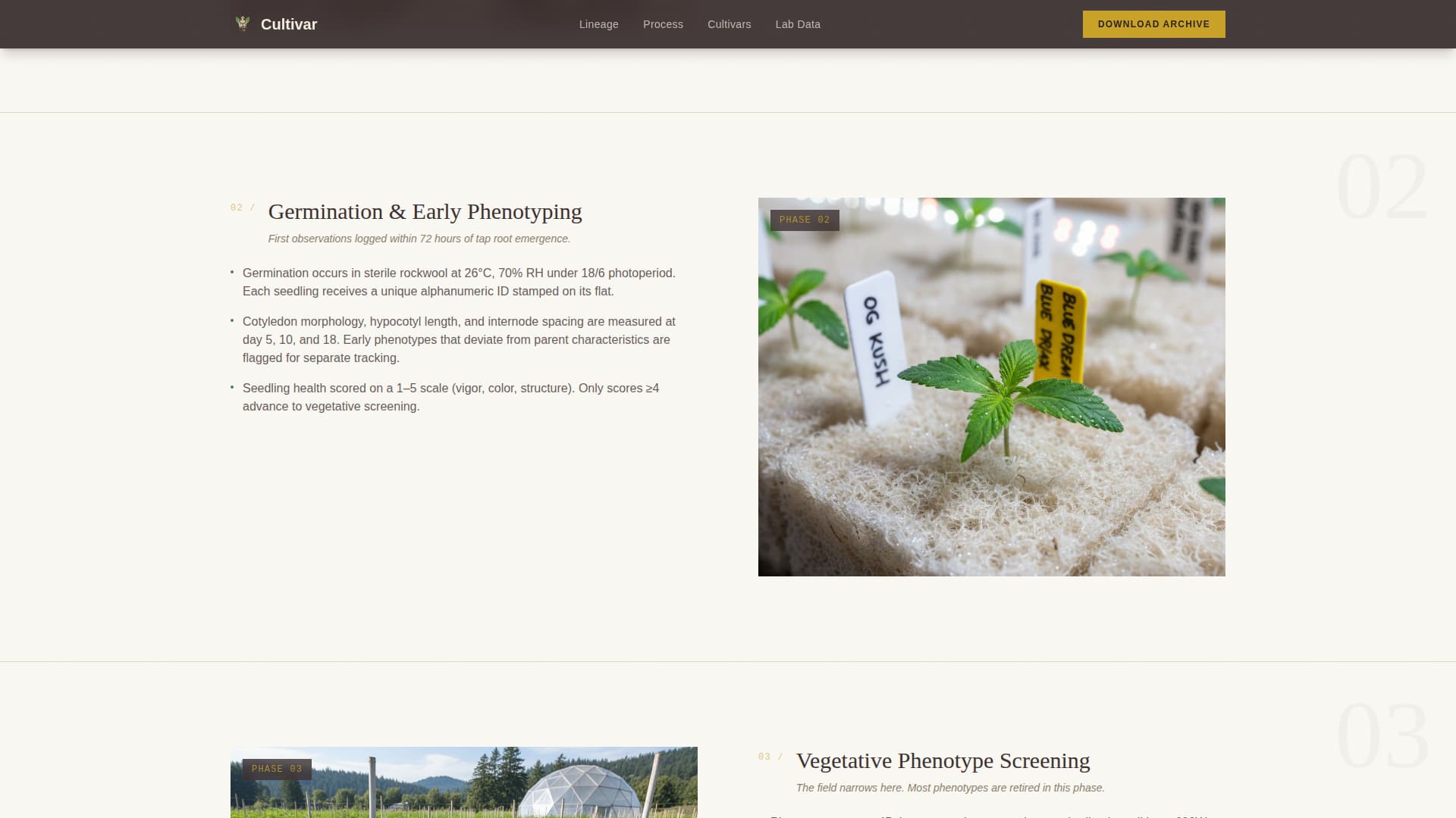 Cannabis Industry Specialist Professional Website Template