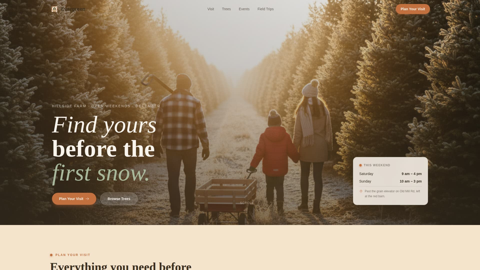 Forestry & Timber Specialist Professional Website Template