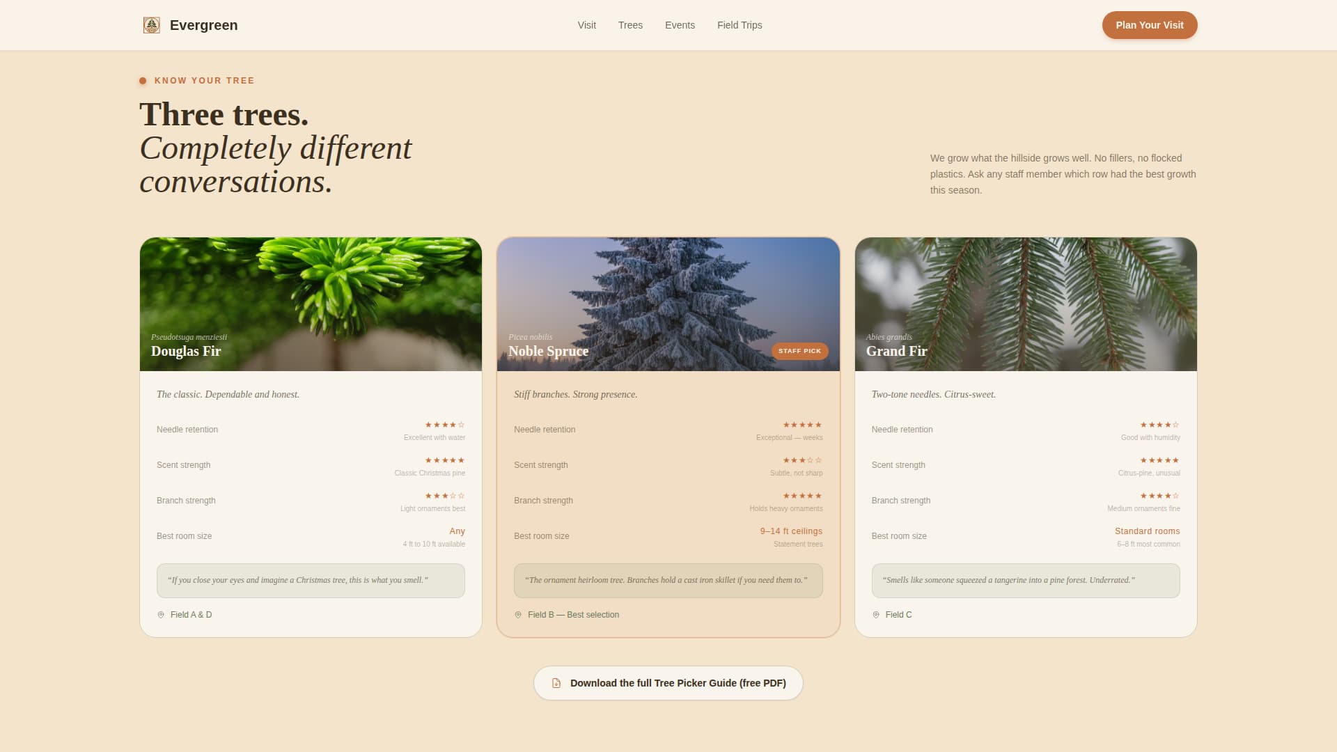 Forestry & Timber Specialist Professional Website Template