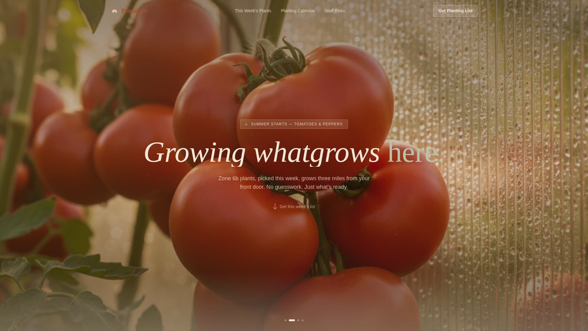 Greenhouse & Indoor Farming Specialist Professional Website Template
