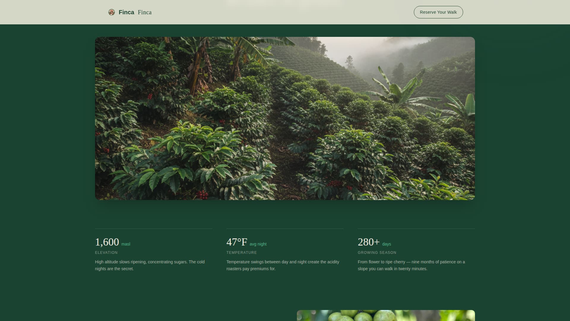Agri-Tourism & Farm Experience Booking Website Template