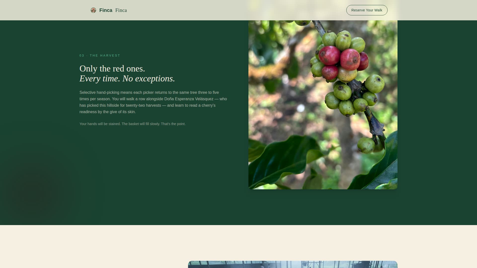 Agri-Tourism & Farm Experience Booking Website Template
