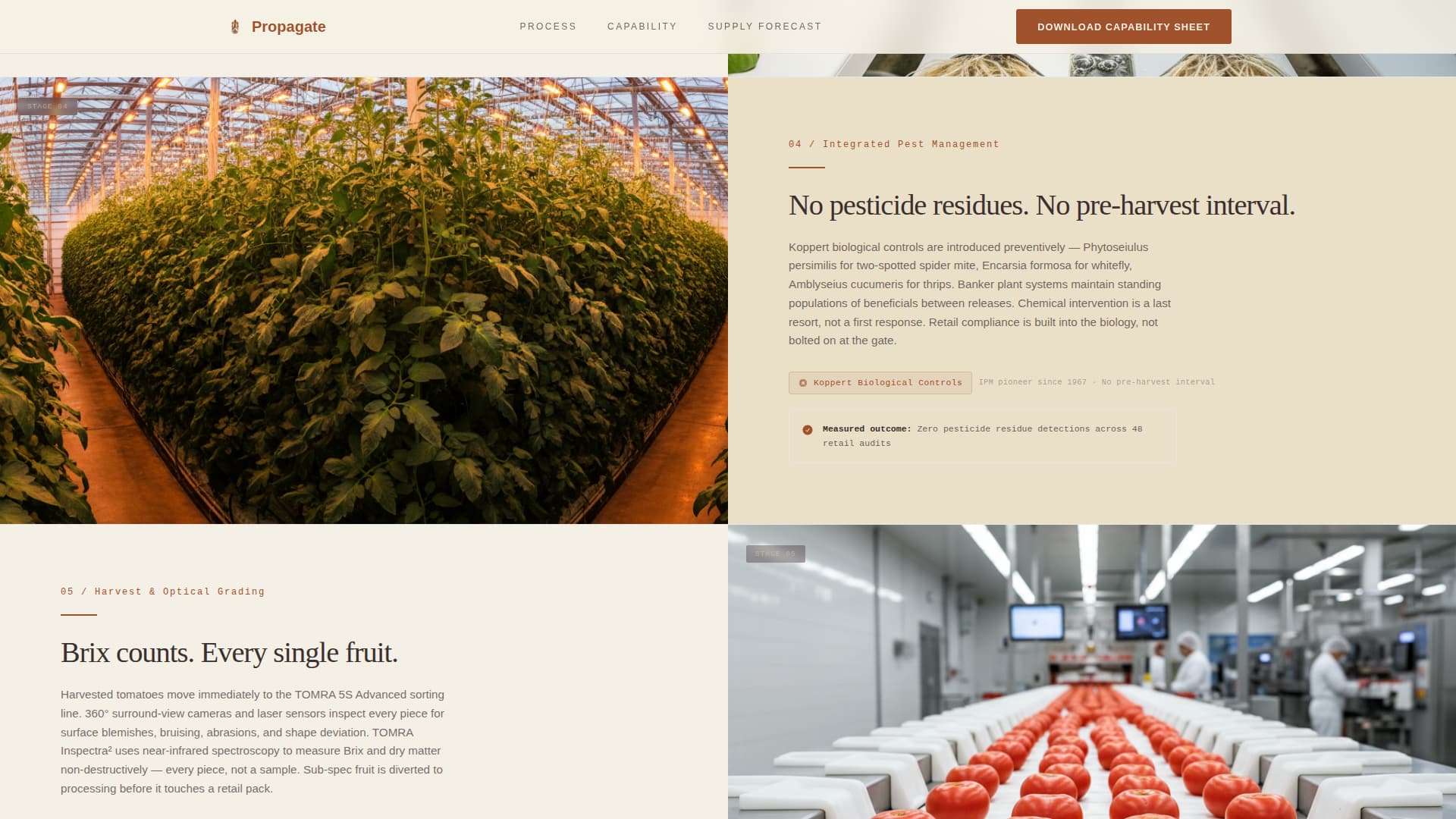 Greenhouse & Indoor Farming Reviews Website Template