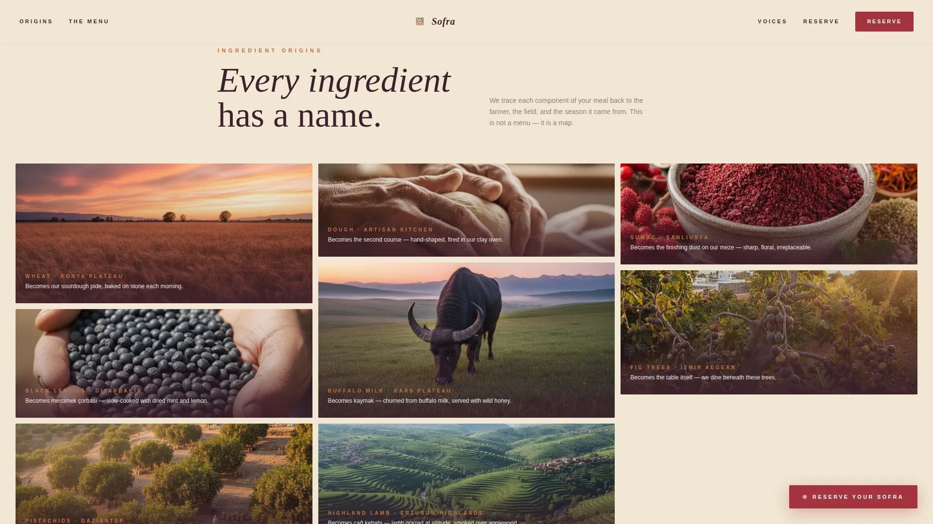 Sofra - Anatolian Tasting Journey Landing Page Template