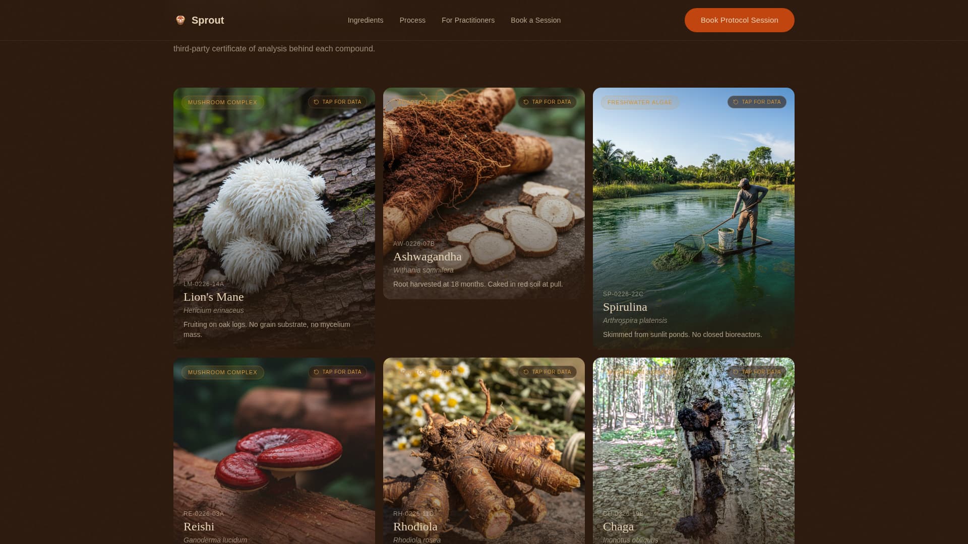 Vegan Food & Dining Booking Website Template