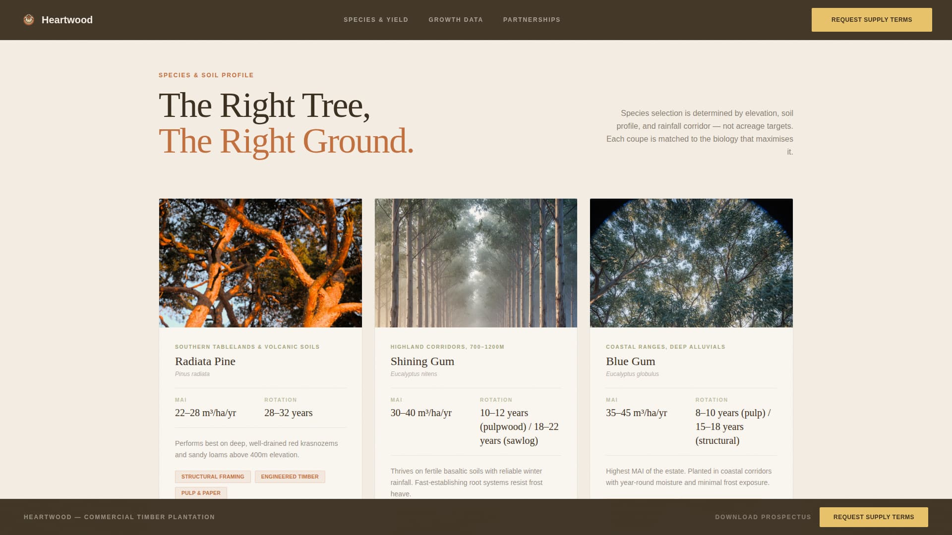 Forestry & Timber Privacy Policy Website Template