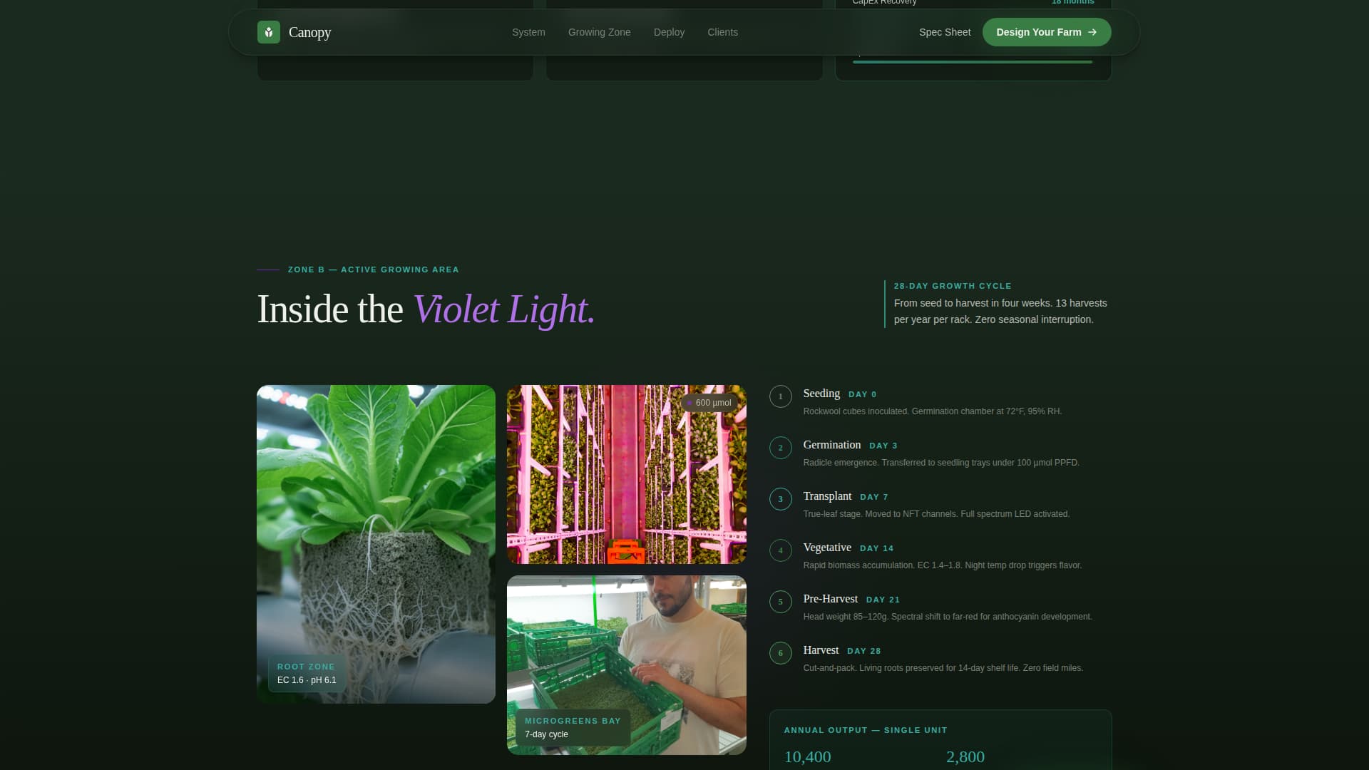 Urban Agriculture Professional Website Template