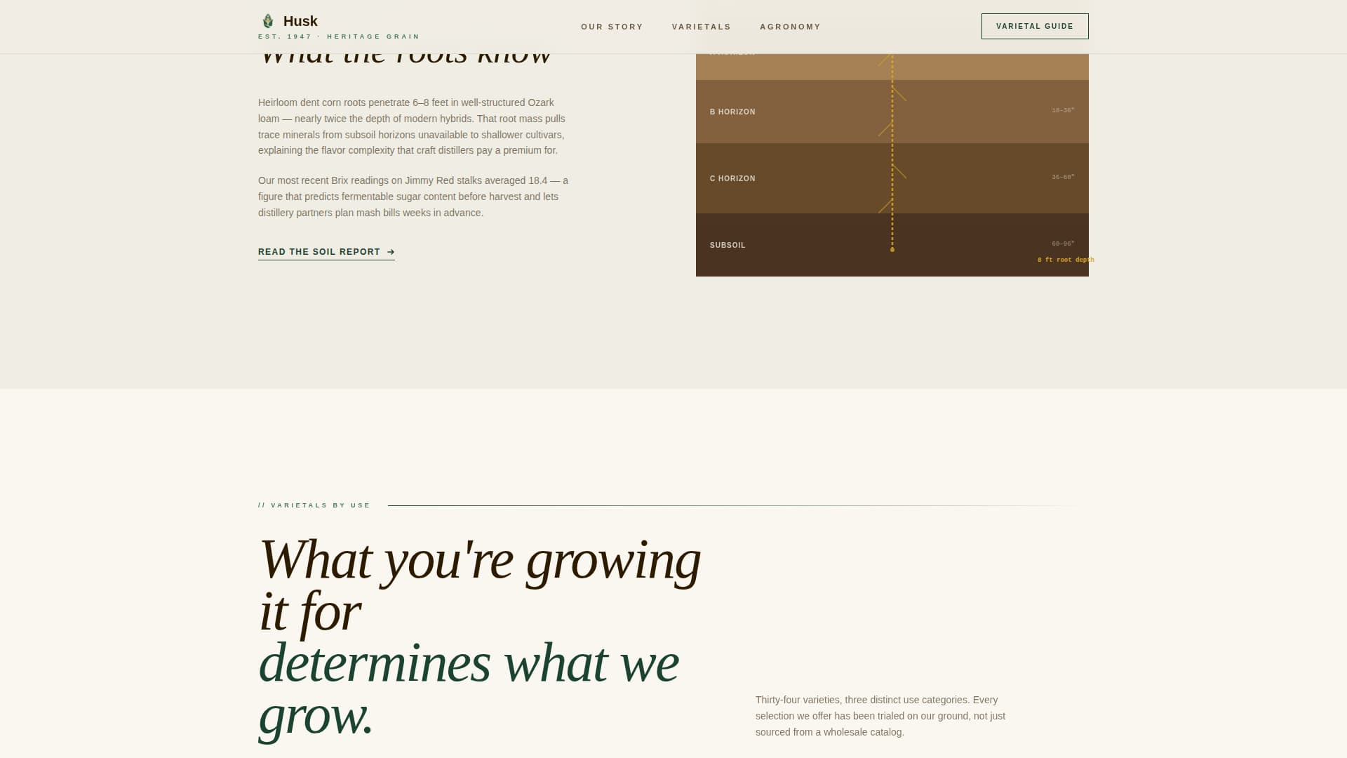 Crop & Grain Farming Blog Website Template