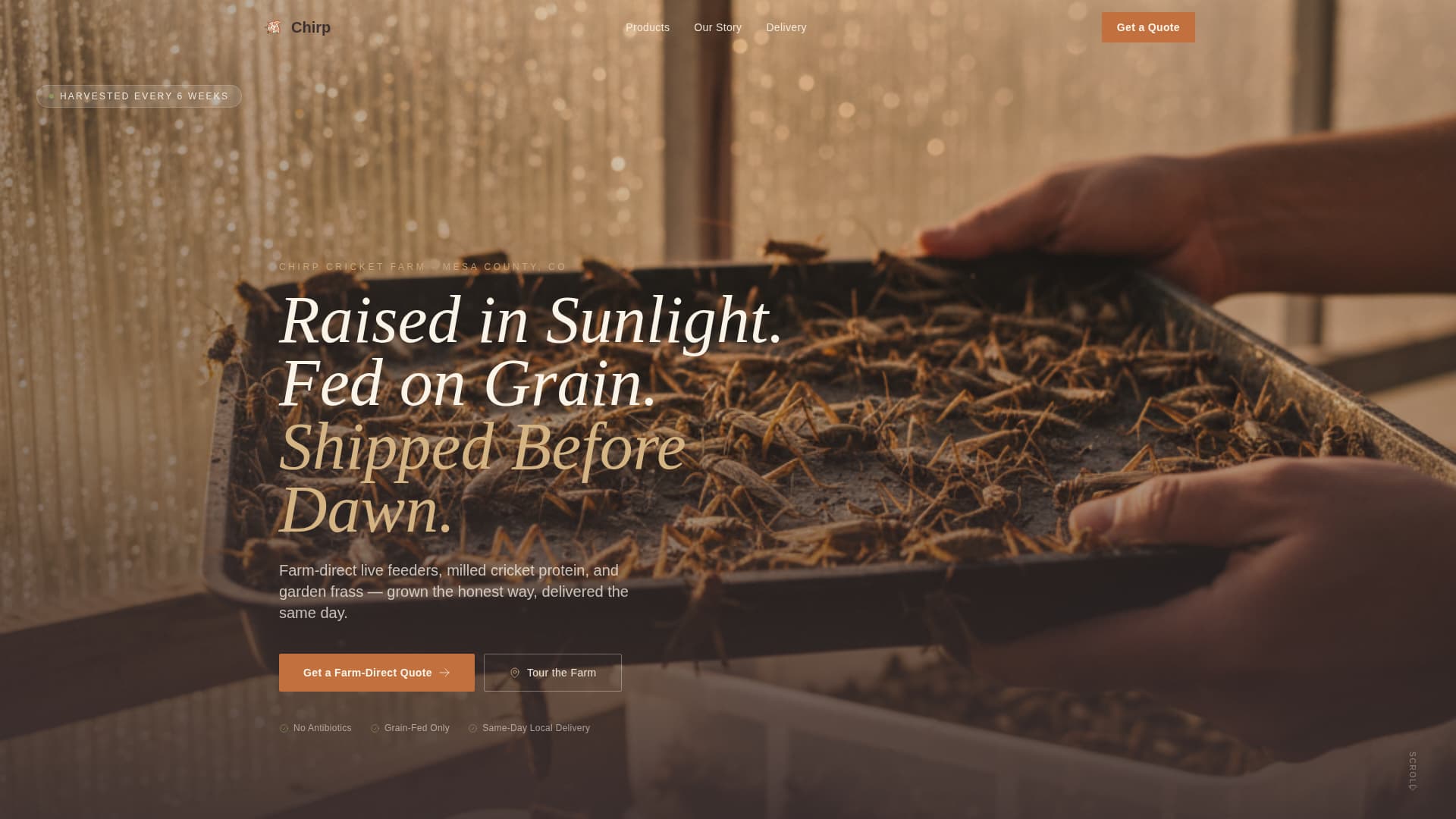 Specialty Farming Careers Website Template