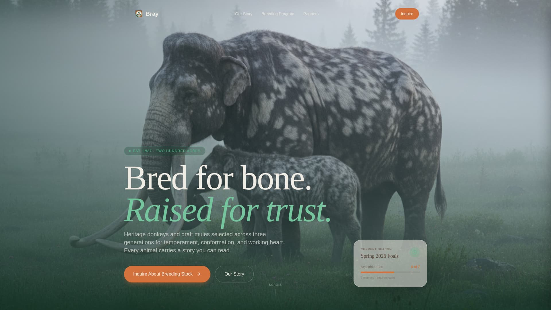 Livestock & Animal Husbandry Advanced Professional Website Template