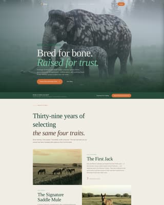 Livestock & Animal Husbandry Advanced Professional Website Template