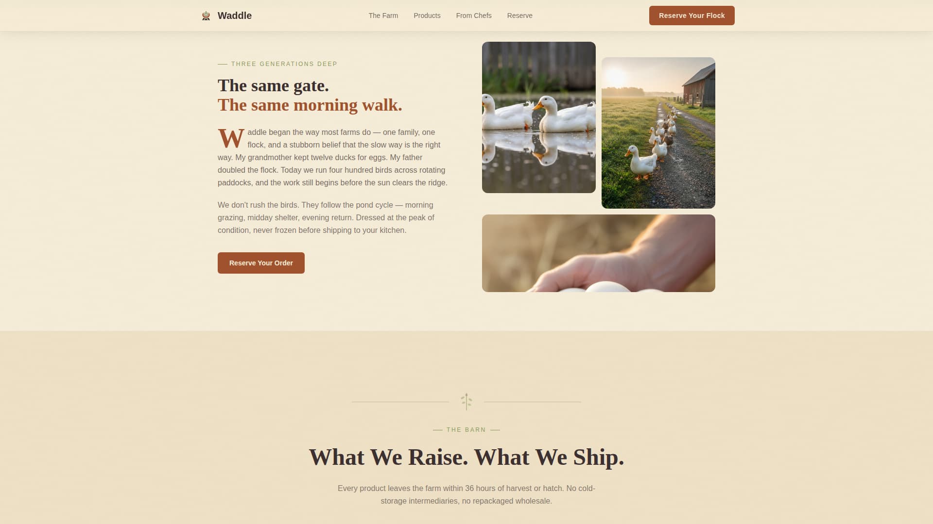 Dairy & Poultry Farm Reviews Website Template