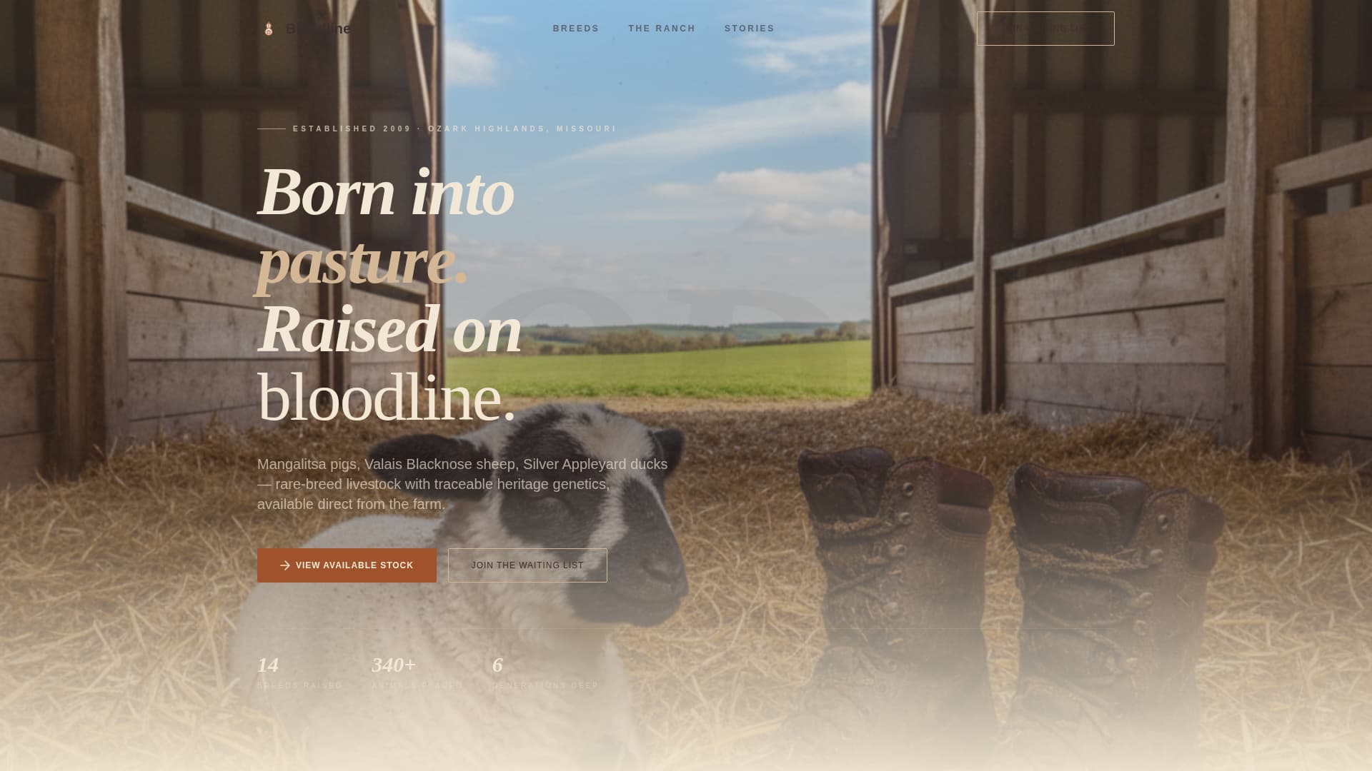 Livestock & Animal Husbandry Booking Website Template