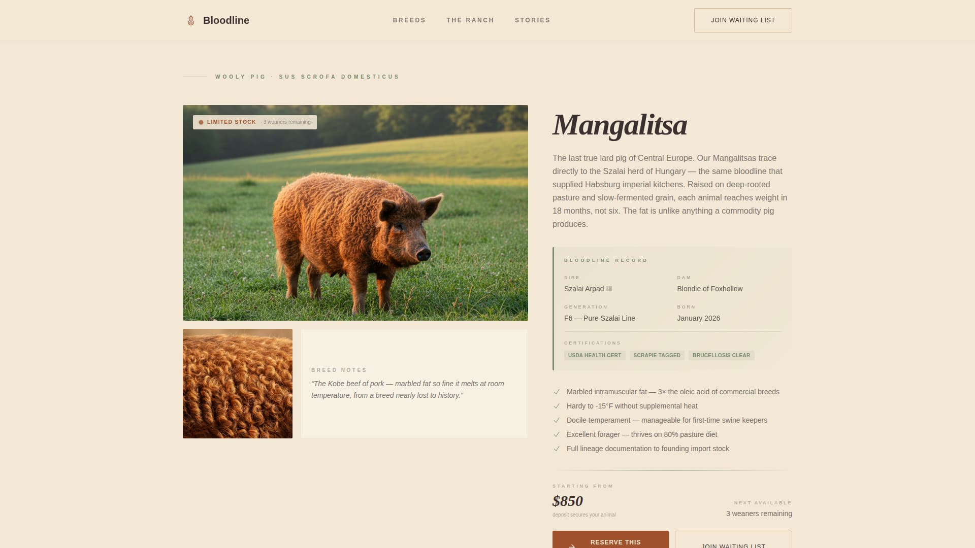 Livestock & Animal Husbandry Booking Website Template