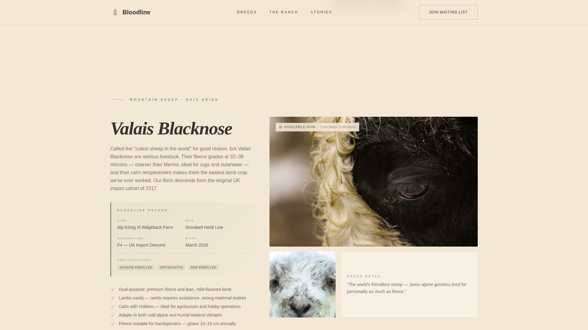 Livestock & Animal Husbandry Booking Website Template