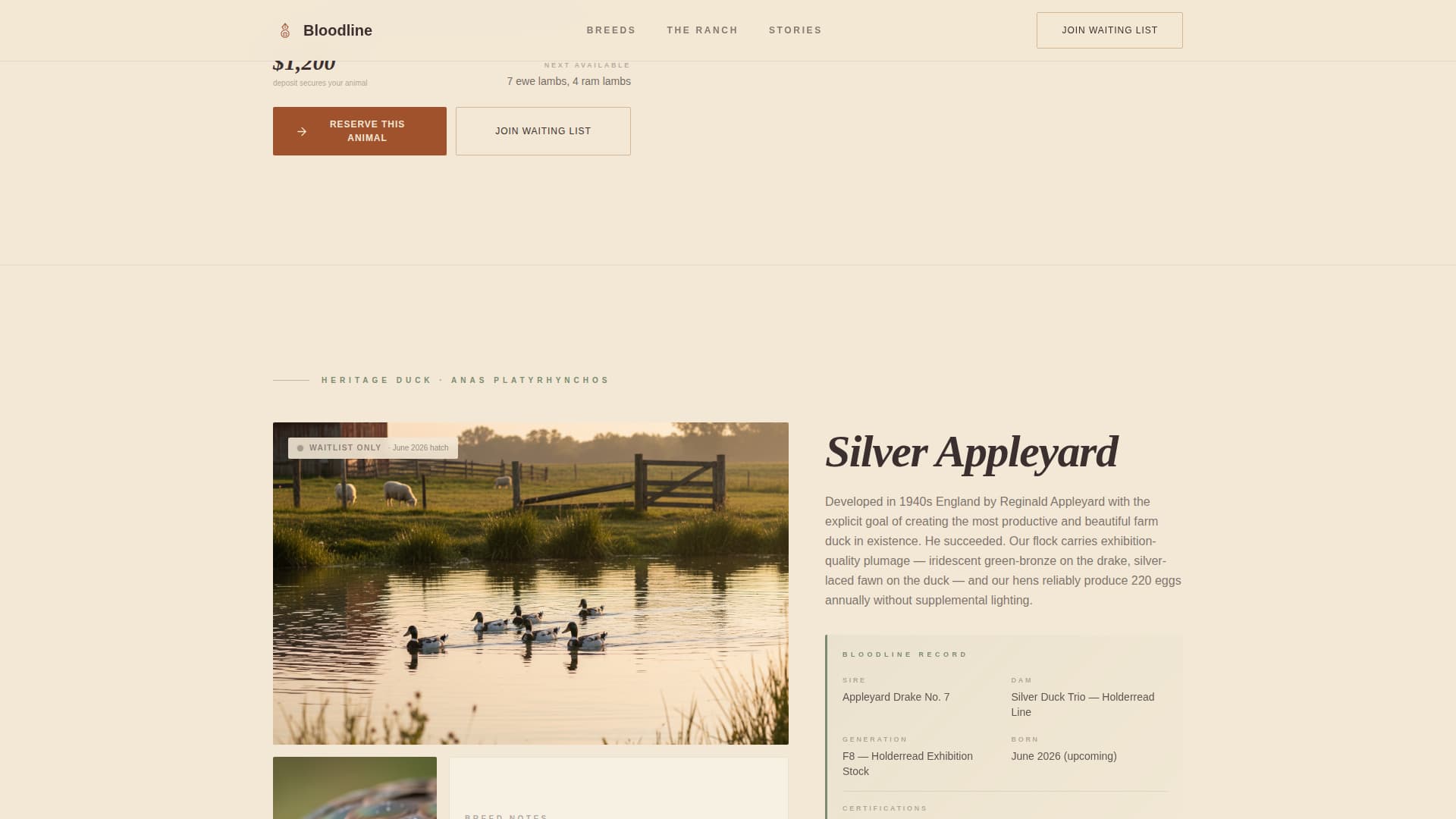 Livestock & Animal Husbandry Booking Website Template