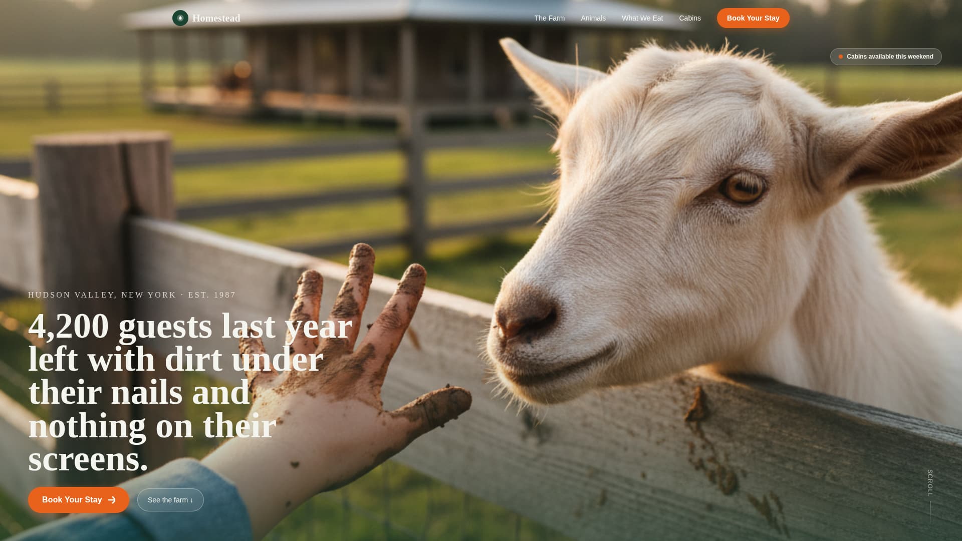 Farm & Ranch Booking Website Template