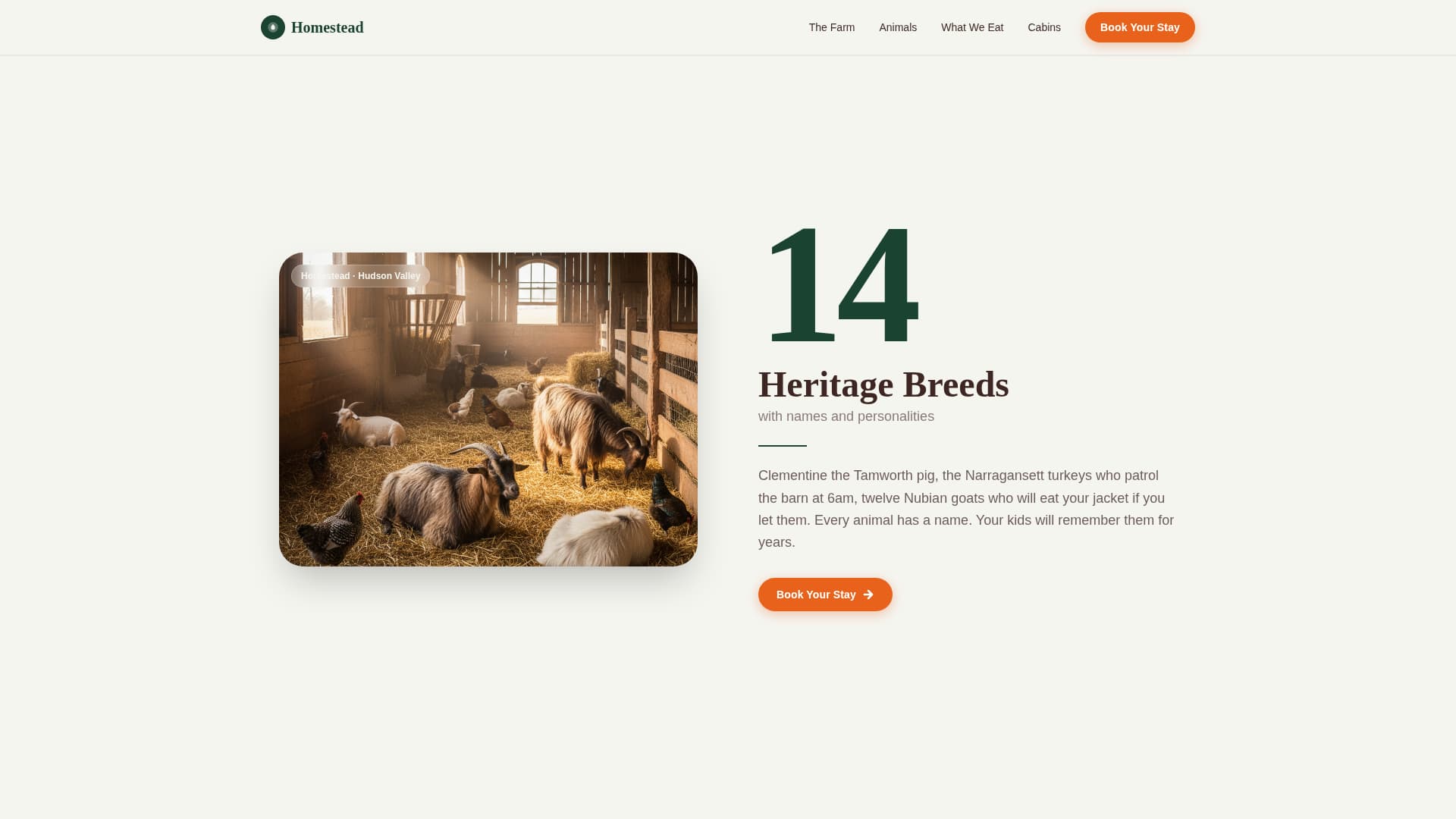Farm & Ranch Booking Website Template