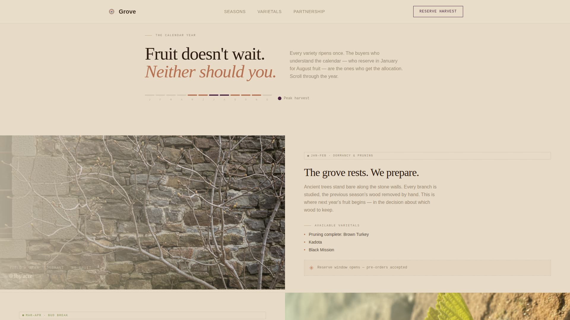 Grove - Artisan Figfarm Landing Page Template