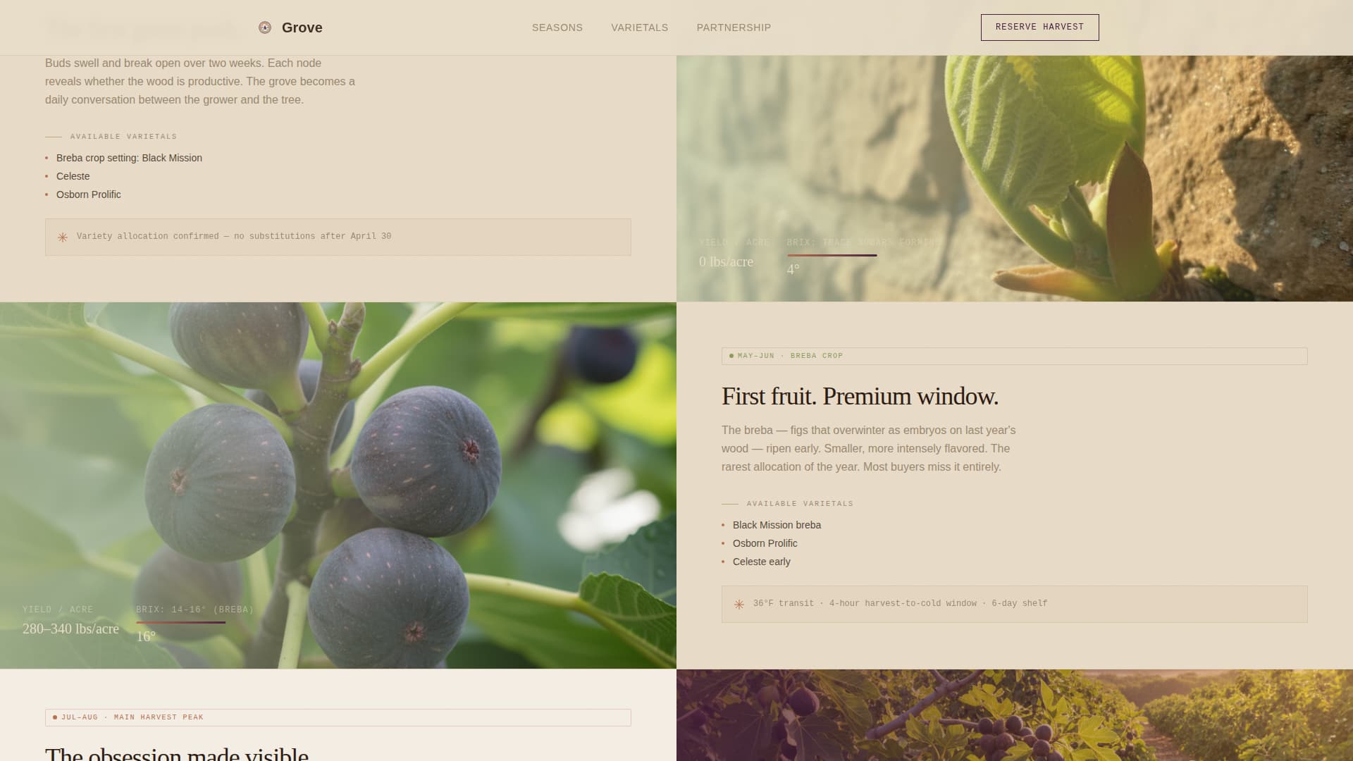 Grove - Artisan Figfarm Landing Page Template