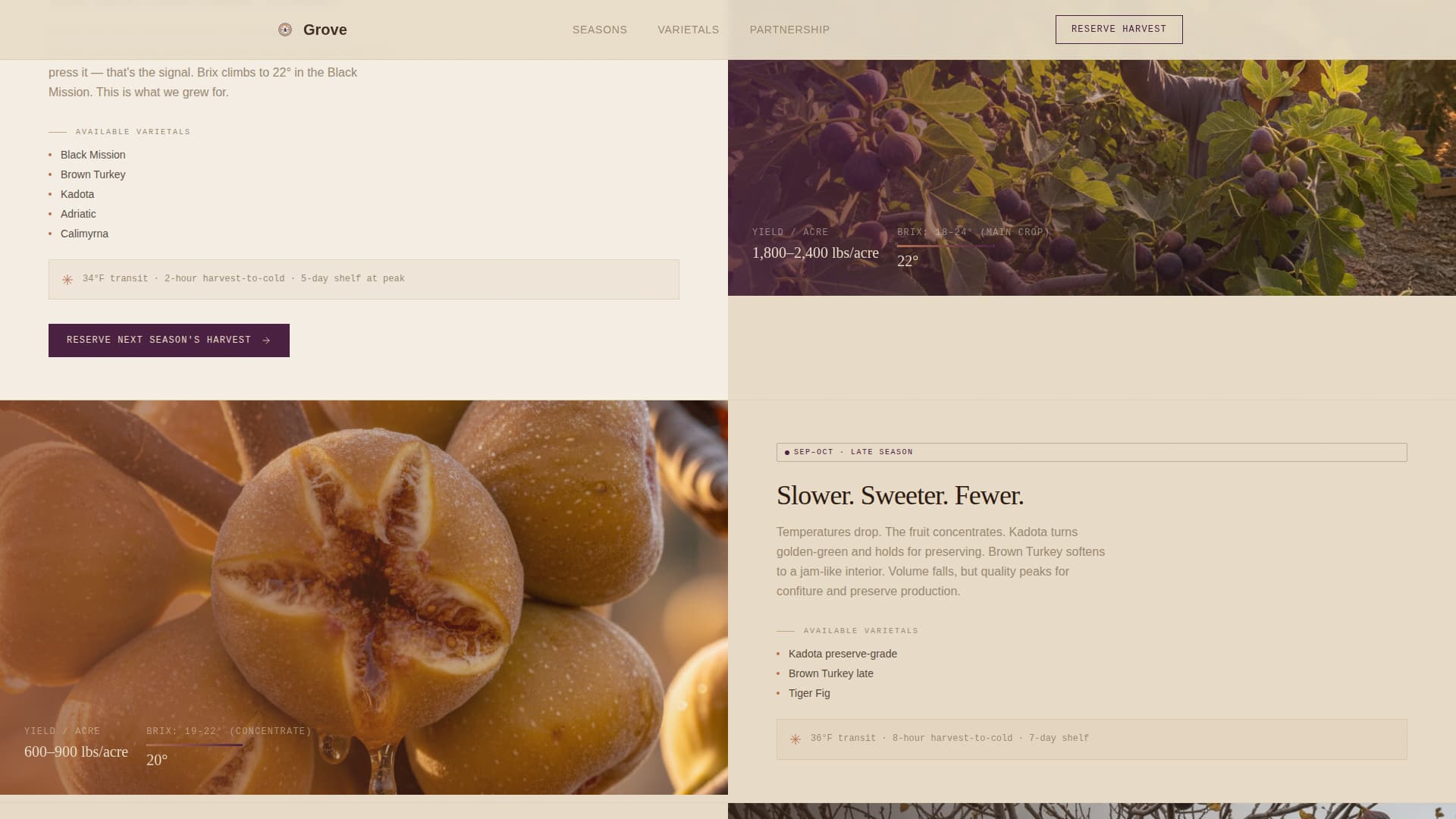 Grove - Artisan Figfarm Landing Page Template