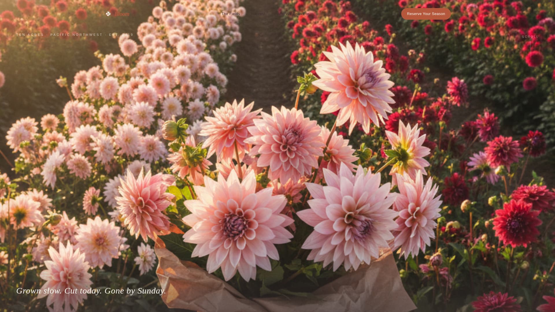 Bloom - Seasonal Flowerfarm Landing Page Template