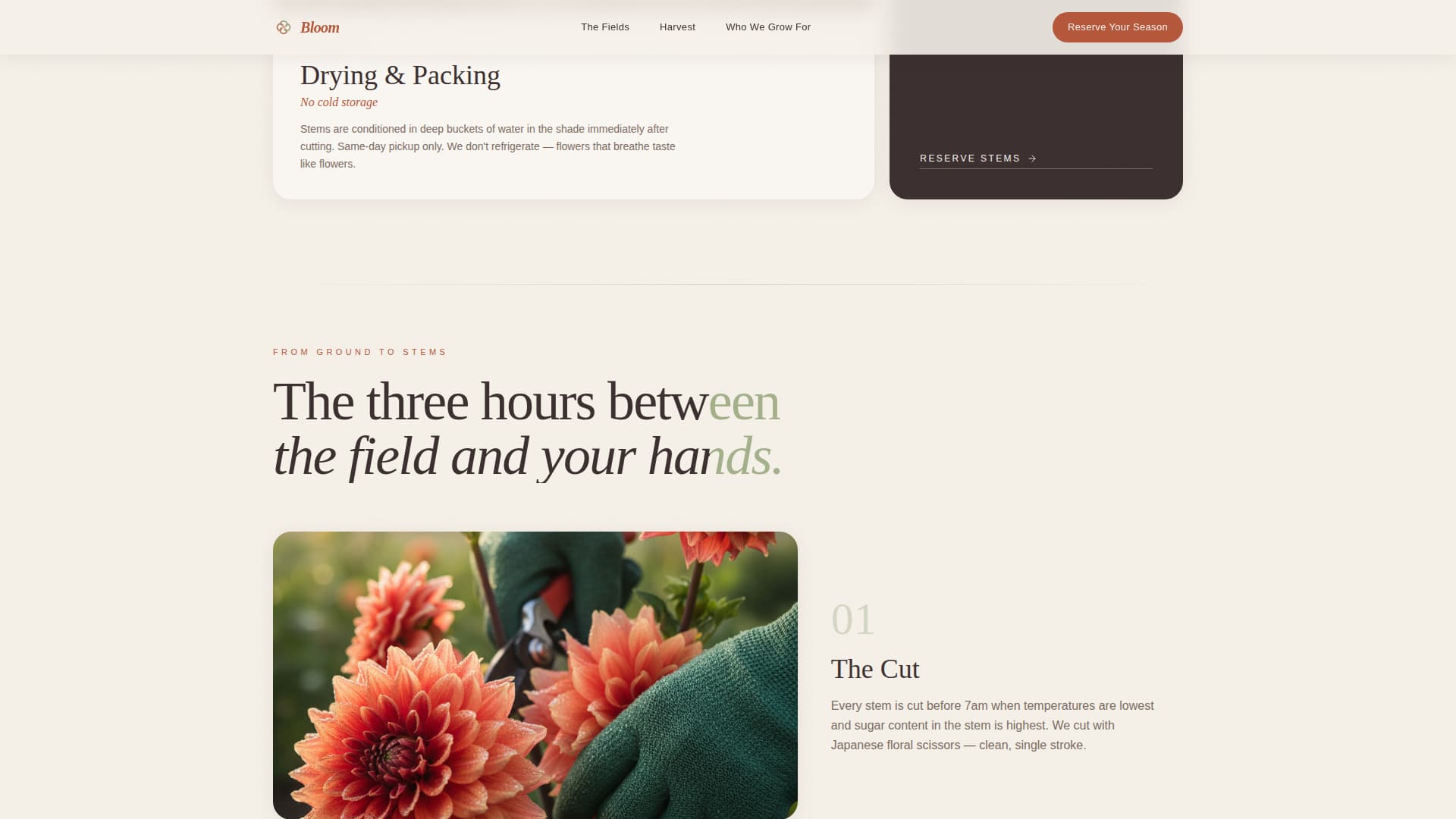 Bloom - Seasonal Flowerfarm Landing Page Template