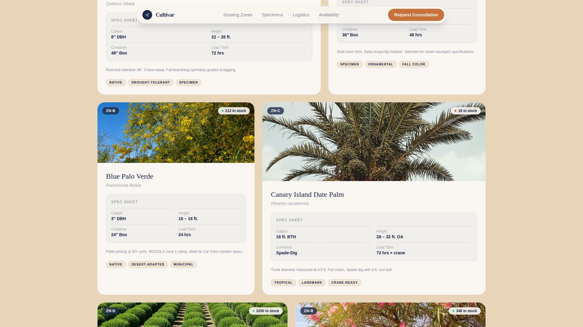 Nursery & Plant Farm Professional Website Template