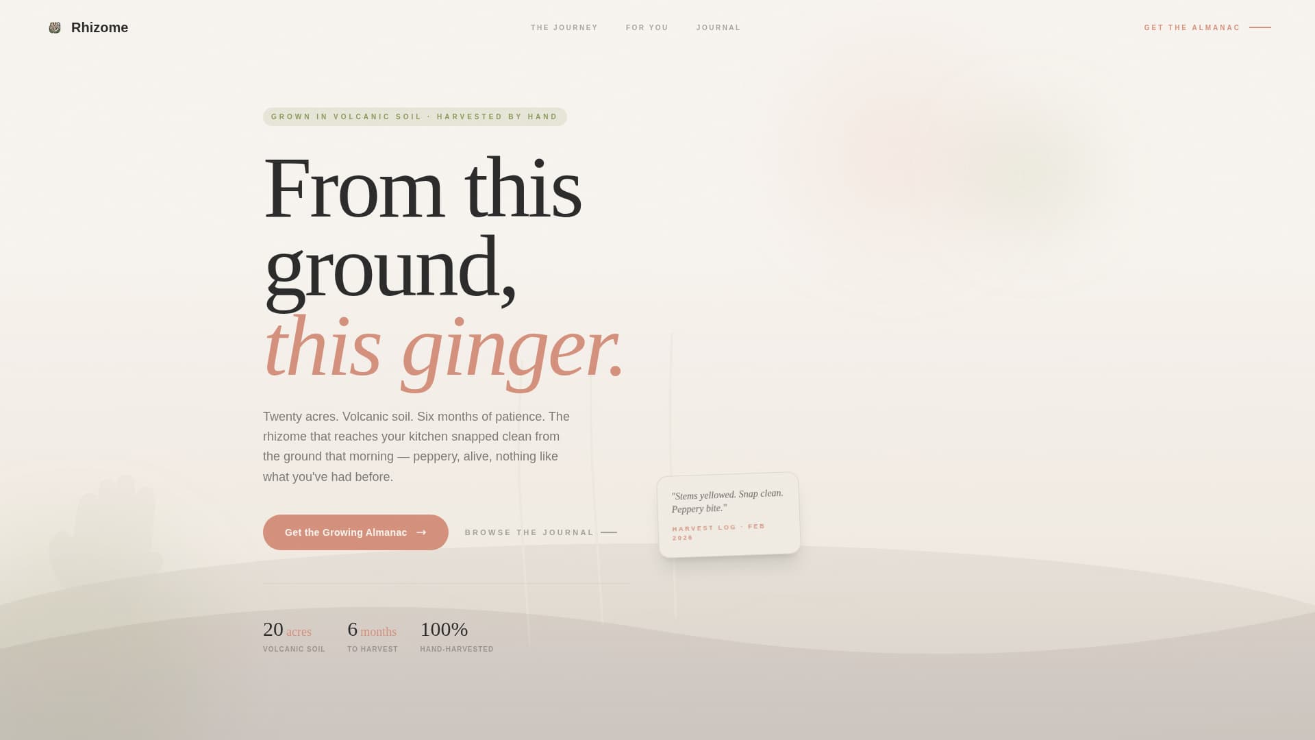 Rhizome - Artisan Gingerfarm Landing Page Template