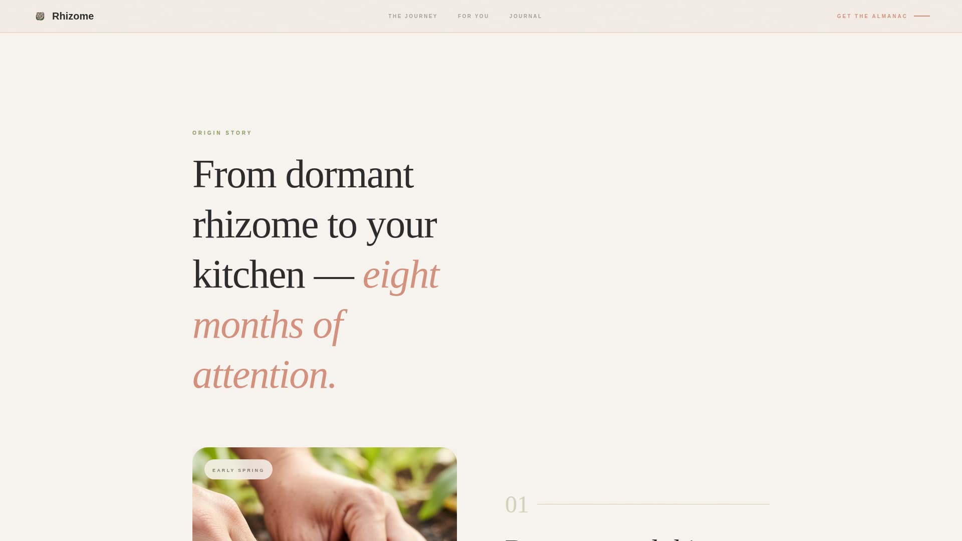 Rhizome - Artisan Gingerfarm Landing Page Template