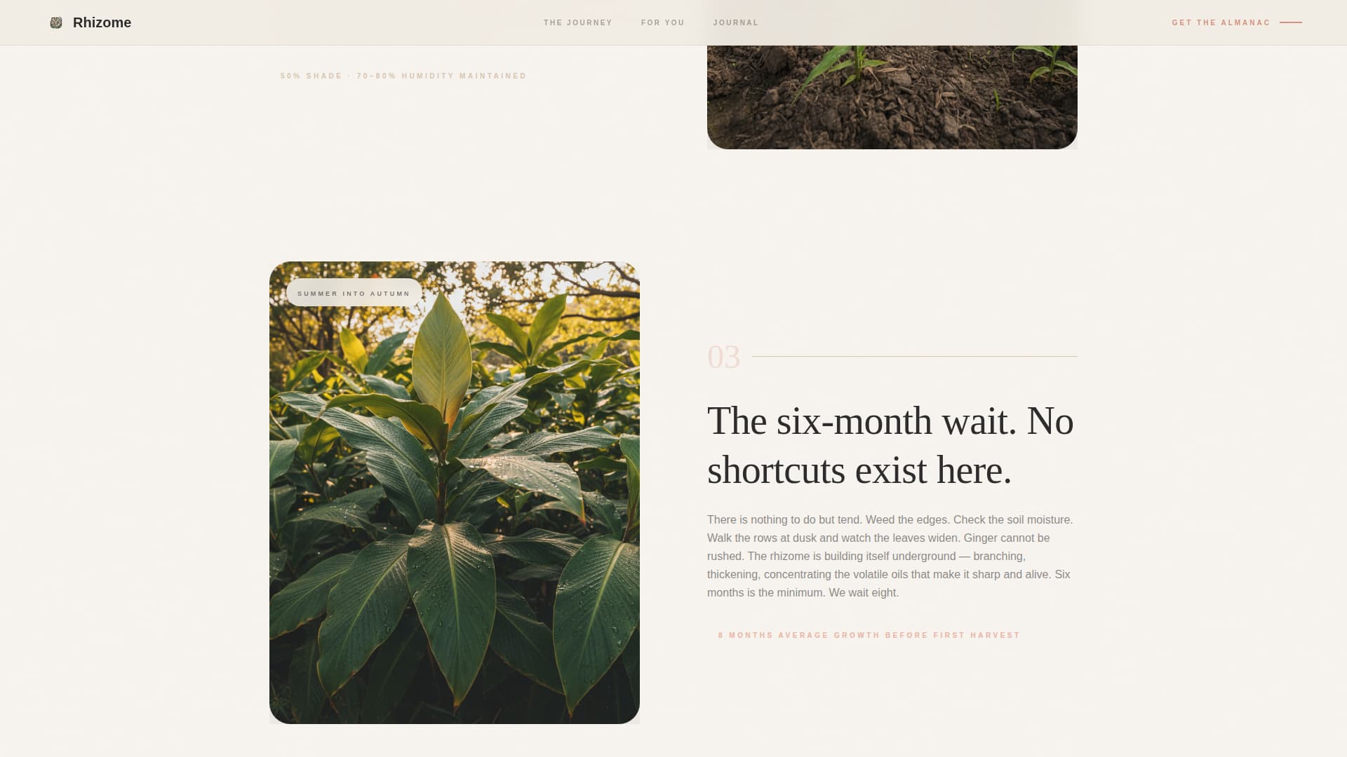 Rhizome - Artisan Gingerfarm Landing Page Template