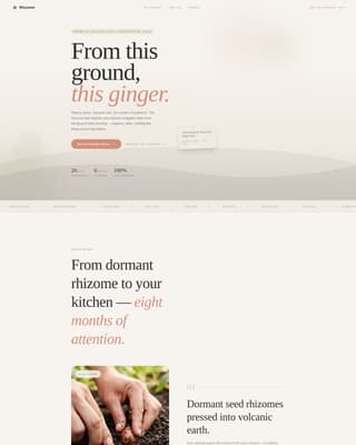 Rhizome - Artisan Gingerfarm Landing Page Template