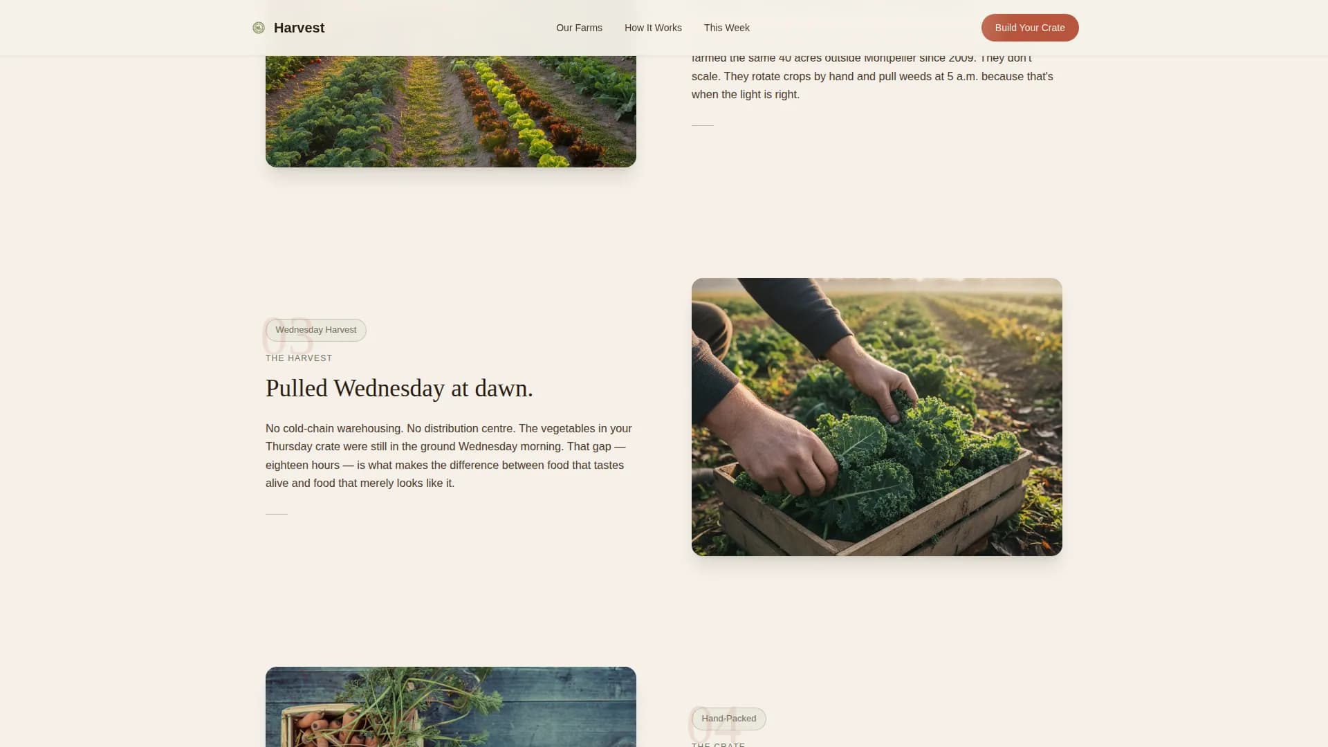 Harvest — Organic Produce Delivery Landing Page Template
