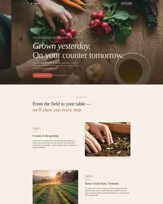 Harvest — Organic Produce Delivery Landing Page Template