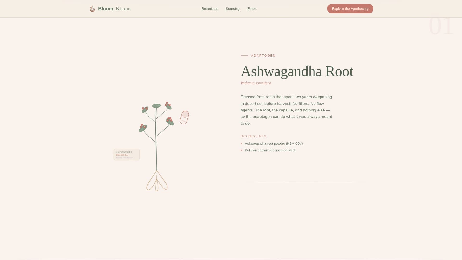 Bloom - Serene Supplement Landing Page Template