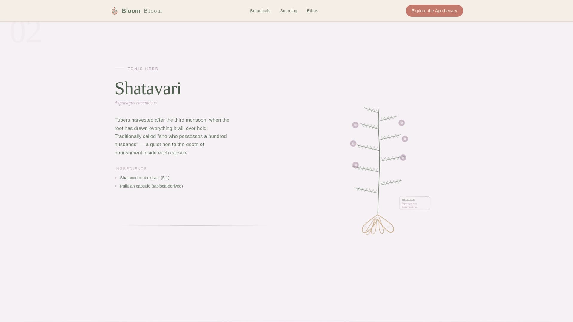 Bloom - Serene Supplement Landing Page Template