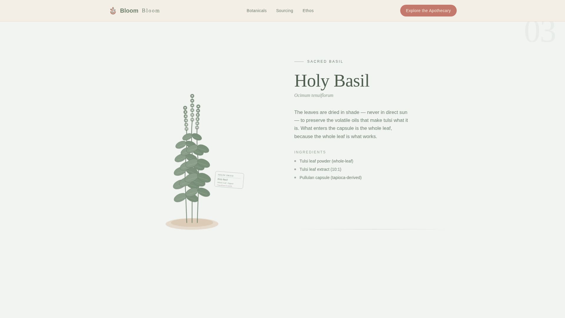 Bloom - Serene Supplement Landing Page Template