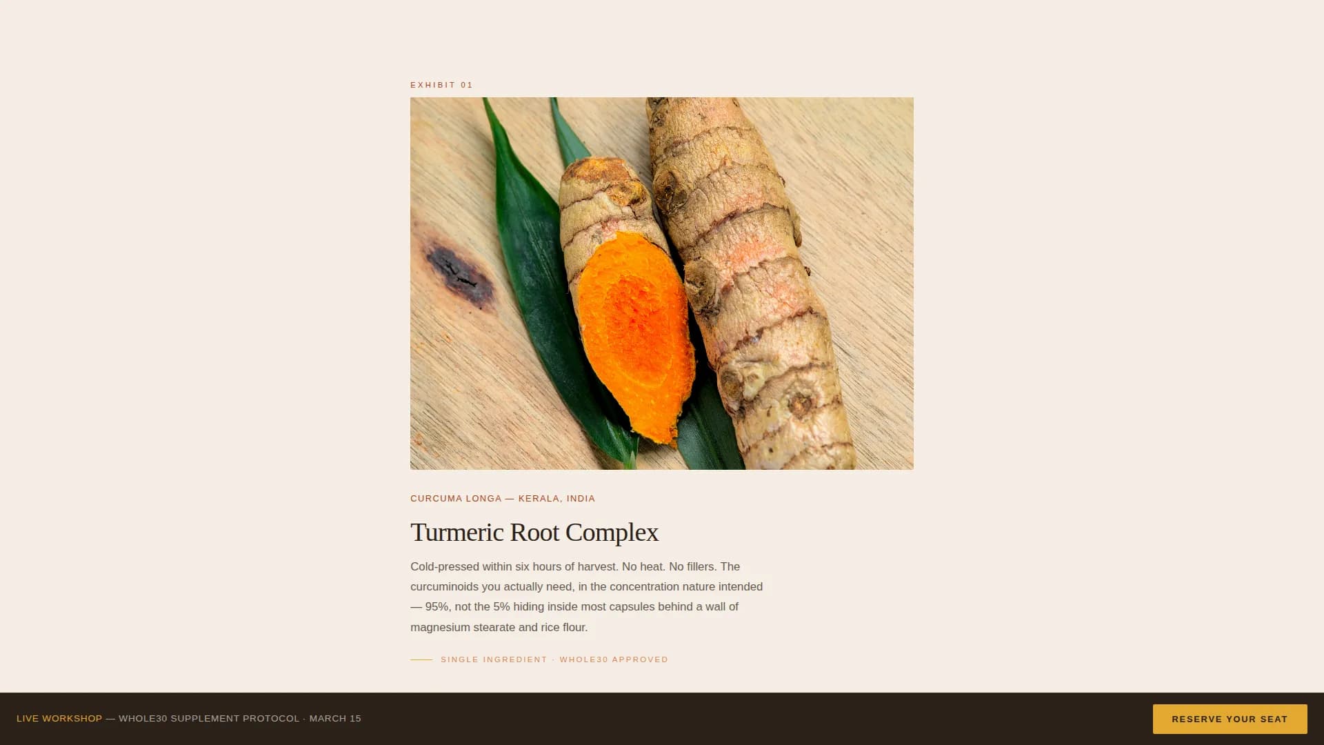 Nourish — Whole30 Supplement Workshop Landing Page Template